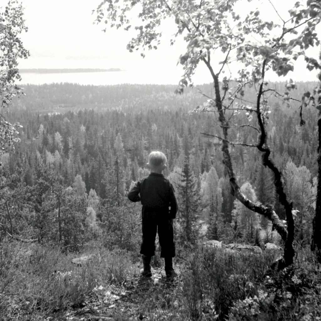 Ett barn står och tittar ut över skog och en sjö.