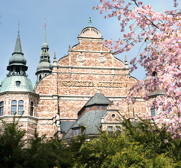 Närbild på stor byggnad med tinnar och torn i sol och blå himmel och till höger syns körsbärsblommor.