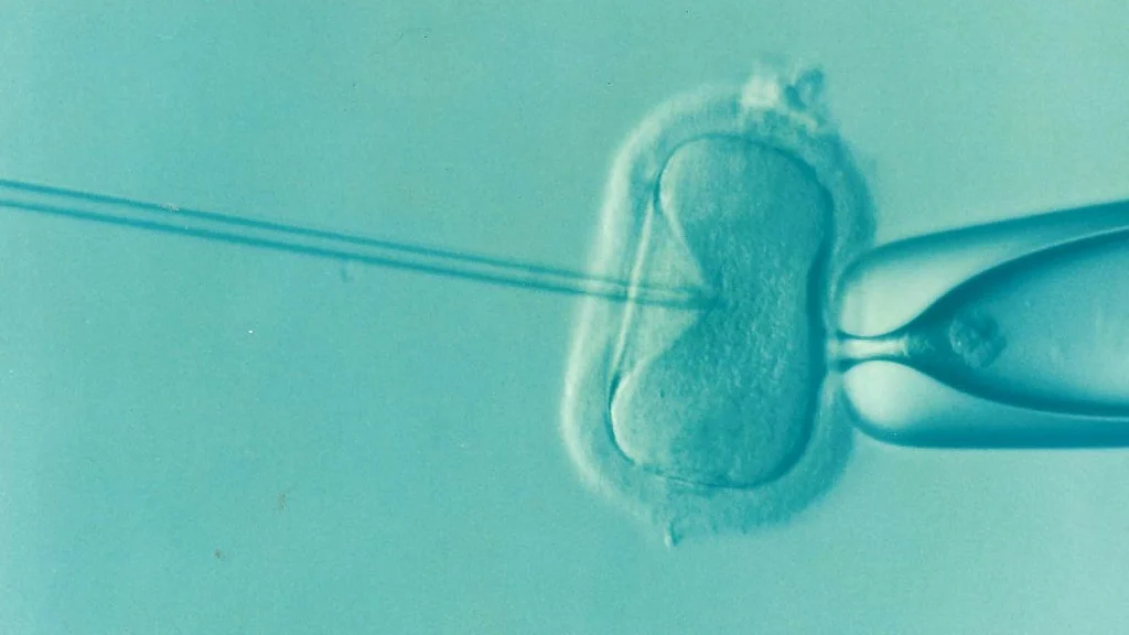 närbild ivf-befruktning